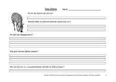 Zebra-Fragen-2.pdf